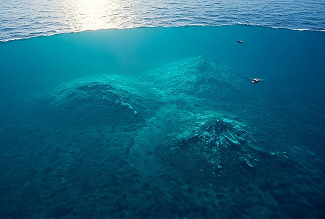 日本の海に眠る宝