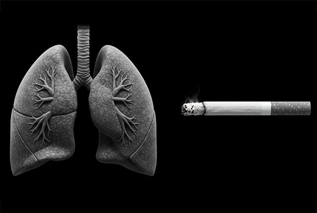 タバコと健康 2025