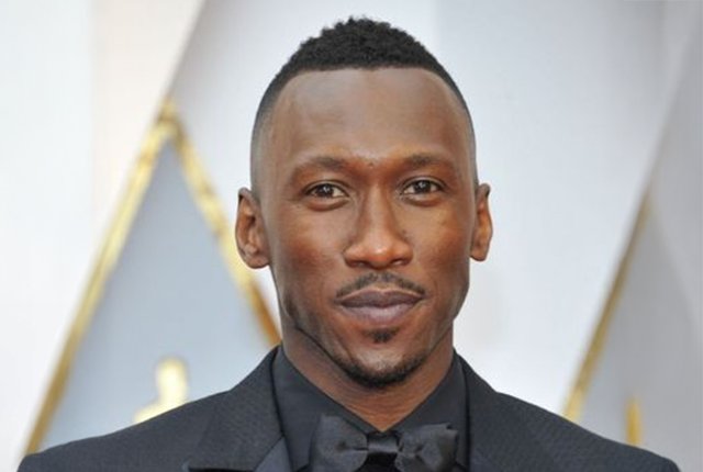 マハーシャラ・アリのプロフィール画像