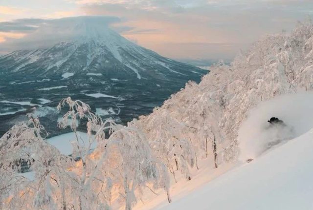 凍てつく白銀の危機