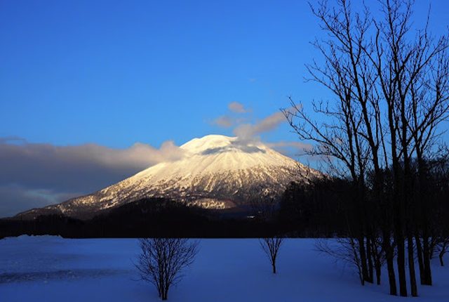 凍てつく白銀の危機